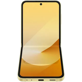  Z Flip6